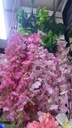 Flores wisterias 3 ramos venta por docena